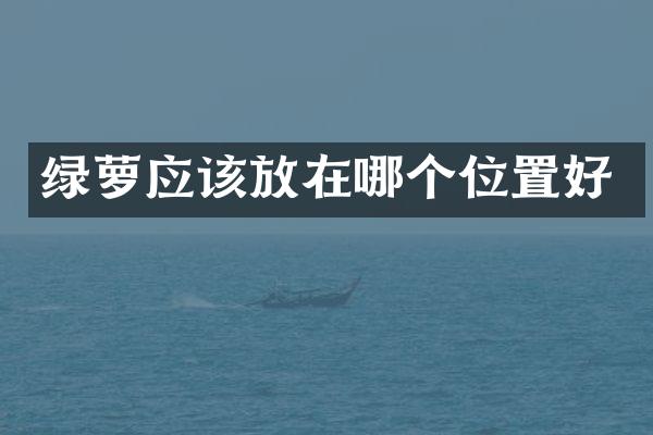 绿萝应该放在哪个位置好