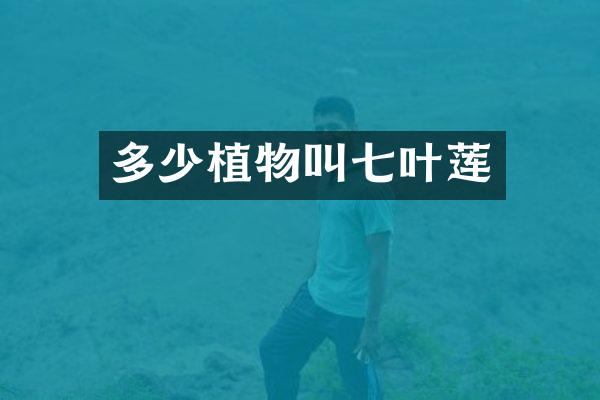 多少植物叫七叶莲