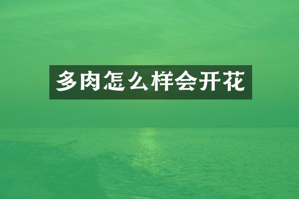 多肉怎么样会开花