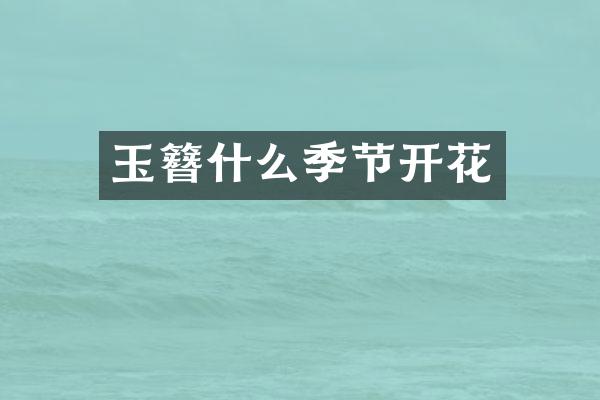 玉簪什么季节开花