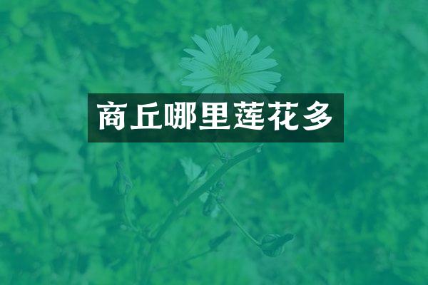 商丘哪里莲花多