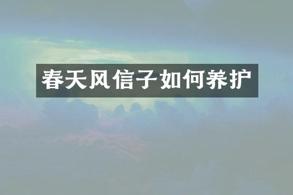 春天风信子如何养护
