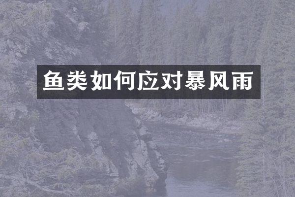 鱼类如何应对暴风雨
