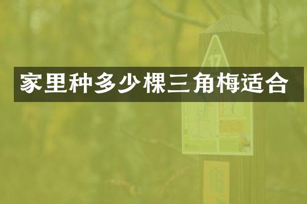 家里种多少棵三角梅适合