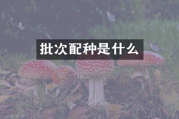批次配种是什么