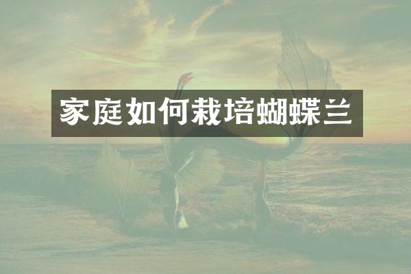 家庭如何栽培蝴蝶兰