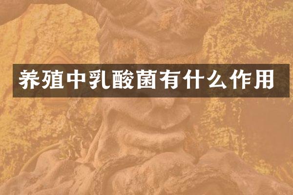 养殖中乳酸菌有什么作用