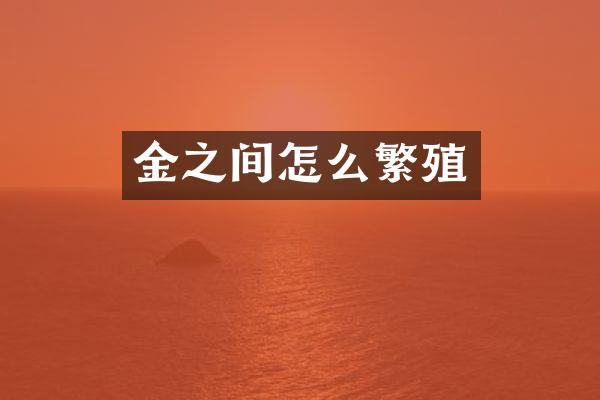 金之间怎么繁殖