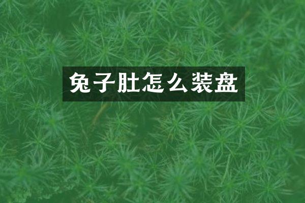 兔子肚怎么装盘