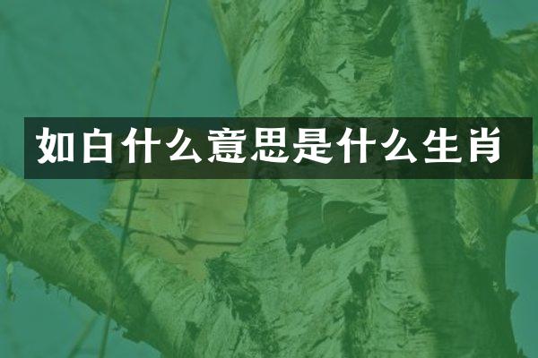 如白什么意思是什么生肖