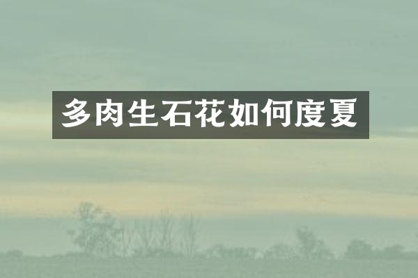 多肉生石花如何度夏
