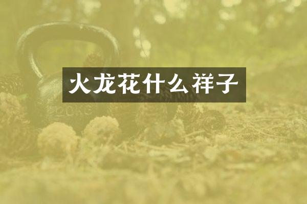 火龙花什么祥子
