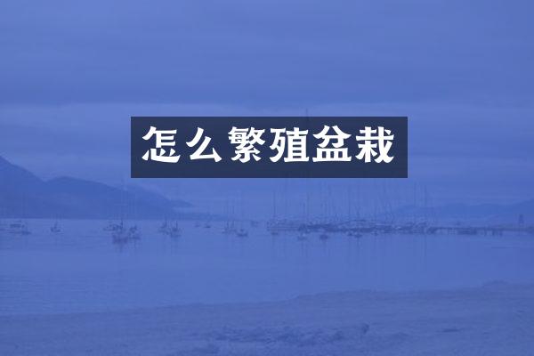 怎么繁殖盆栽