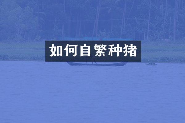 如何自繁种猪