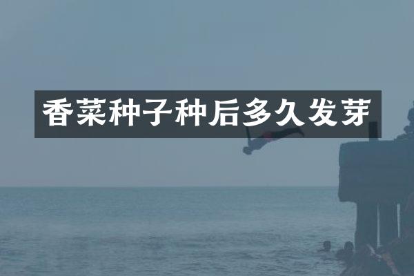 香菜种子种后多久发芽