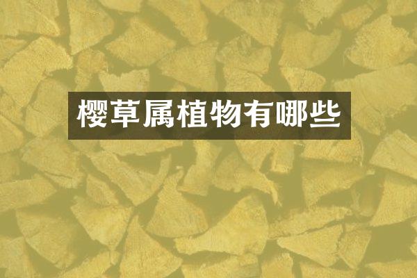 樱草属植物有哪些