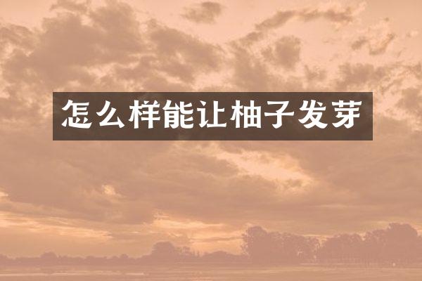 怎么样能让柚子发芽
