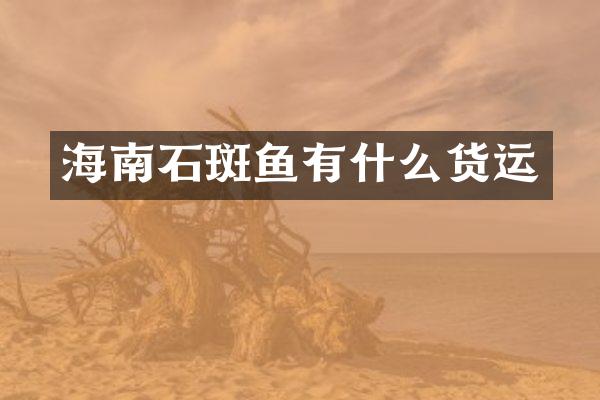 海南石斑鱼有什么货运