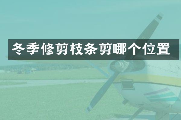 冬季修剪枝条剪哪个位置
