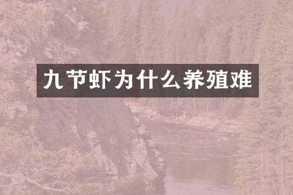 九节虾为什么养殖难