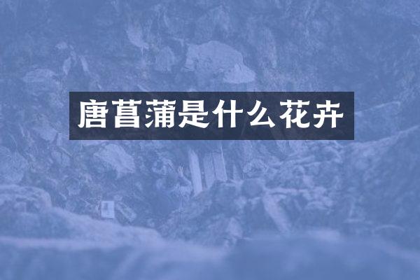 唐菖蒲是什么花卉