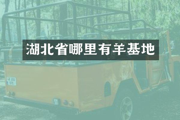 湖北省哪里有羊基地