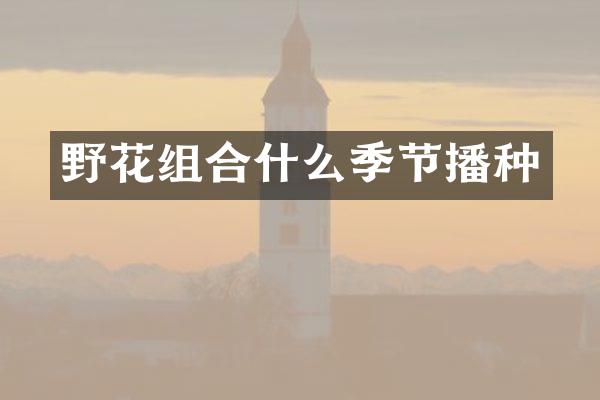 野花组合什么季节播种
