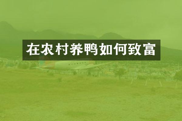 在农村养鸭如何致富