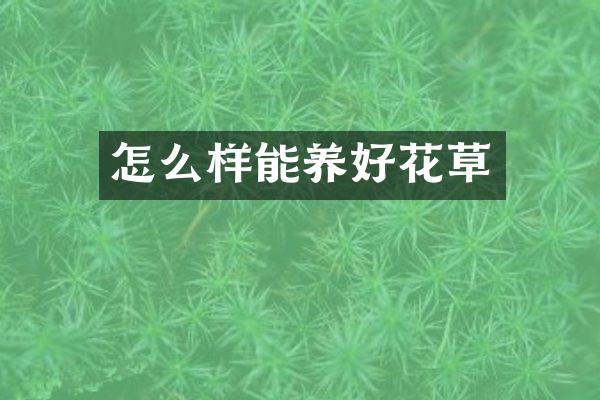 怎么样能养好花草