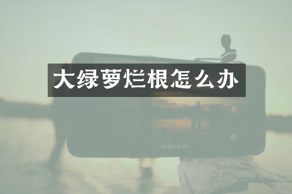 大绿萝烂根怎么办