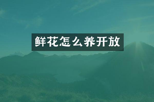鲜花怎么养开放