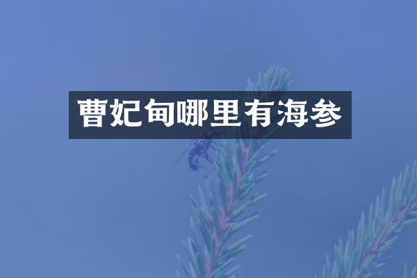 曹妃甸哪里有海参