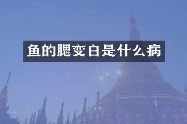 鱼的腮变白是什么病