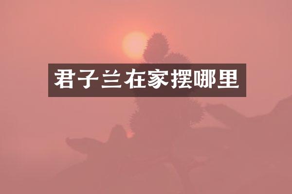 君子兰在家摆哪里