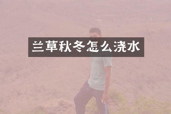 兰草秋冬怎么浇水