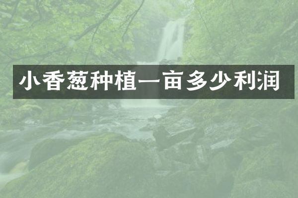 小香葱种植一亩多少利润
