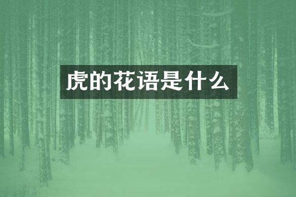 虎的花语是什么