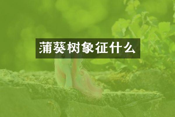 蒲葵树象征什么