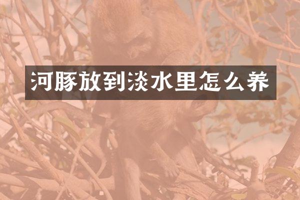 河豚放到淡水里怎么养