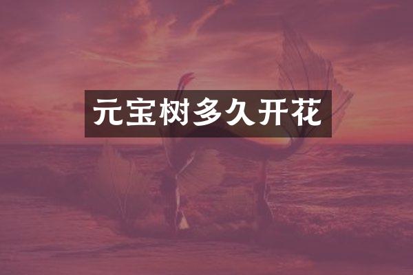 元宝树多久开花