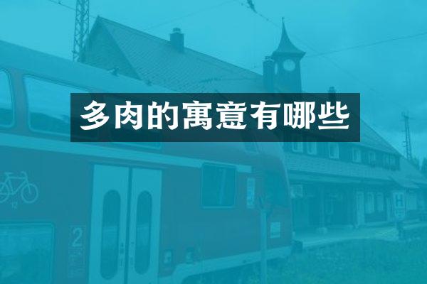 多肉的寓意有哪些