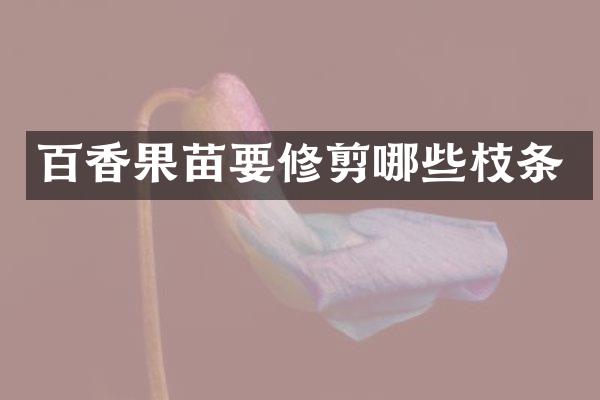 百香果苗要修剪哪些枝条