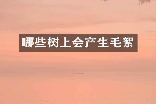 哪些树上会产生毛絮