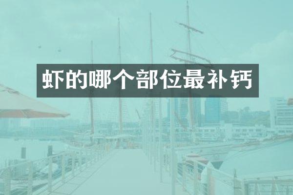 虾的哪个部位最补钙