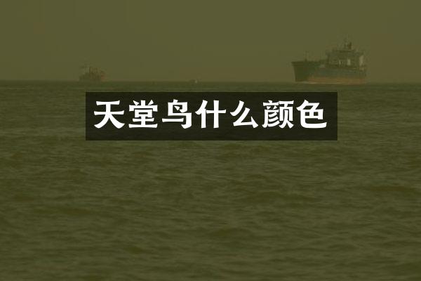 天堂鸟什么颜色