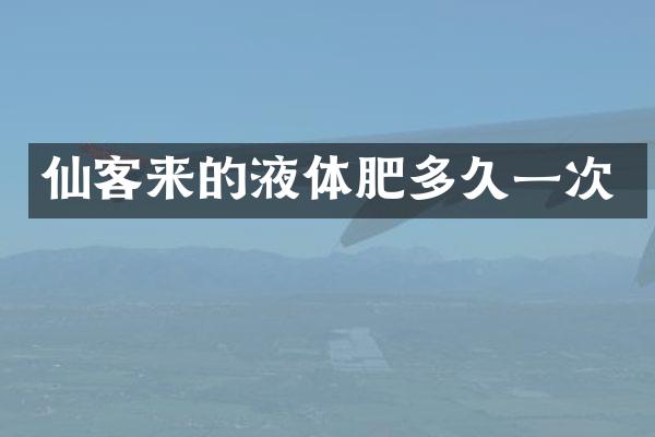 仙客来的液体肥多久一次