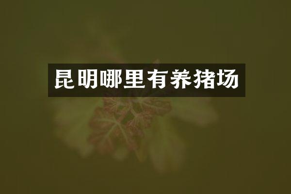昆明哪里有养猪场