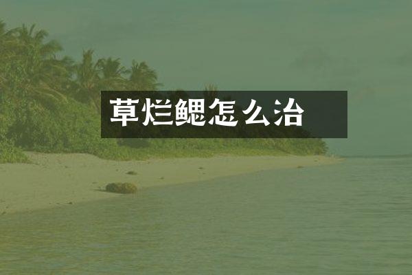 草魚烂鳃怎么治