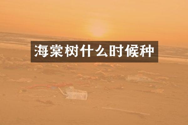 海棠树什么时候种