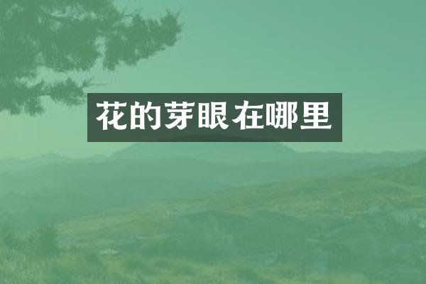 花的芽眼在哪里